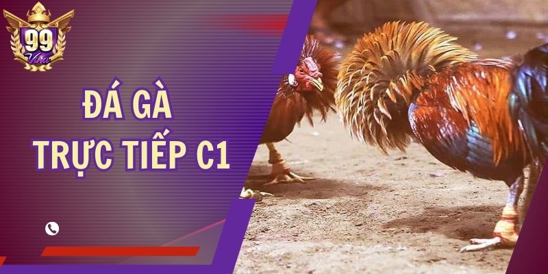 Đá Gà Trực Tiếp C1 – Cập Nhật Nhanh, Sắc Nét Từng Trận Đấu
