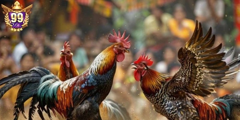 Tân hội viên cần nắm, hiểu rõ quy luật tất yếu của tựa game Tân hội viên cần nắm, hiểu rõ quy luật tất yếu của tựa game